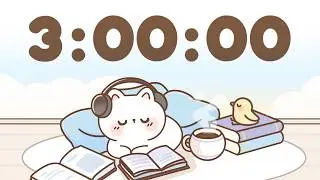 3 Hour Timer 🐱 3 Hr Study Timer for Classroom Focus