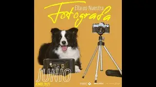 CALENDARIO Perros en acción 2021 – “Manos a la obra” JUNIO