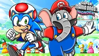 Mario & Sonic Play 