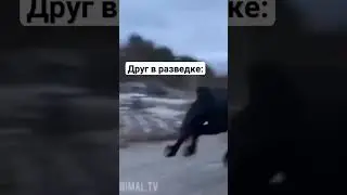 Подожди у меня маленький ножка 