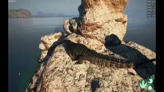 Seagull rock beyond the border | The Isle Evrima Update 4.5