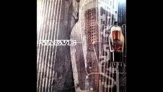 Capone - D Type