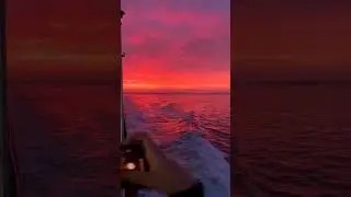 Wow 