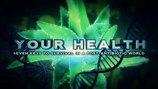 Your Health Intro