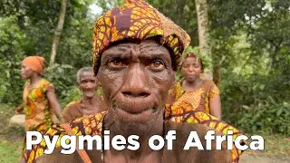 Batwa Pygmies: The World's Shortest Tribe You've Never Heard Of!