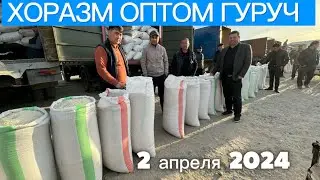 ХОРАЗМ ОПТОМ ГУРУЧ ЯНГИ НАРХЛАРИ 2 апреля 2024 г.