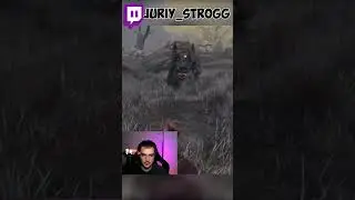Бараны не туда воюют // Elden Ring  