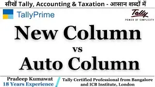 Auto Column and New Column Button in Tally for Better experience of Reports 