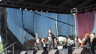 "Серенада Трубадура" (муз.Г.Гладкова, сл.Ю.Энтина") Павел Герштейн.