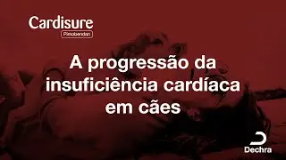 Cardisure - Progressão
