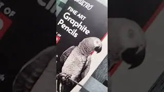 Unboxing New Art material | Brustro Pencil set 🤩🤩 