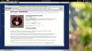 Blag Linux 200000 pre-alpha