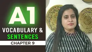 A1 German Vocabulary You Must Know – Practical Sentence Tips!