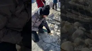 Борьба со льдом)