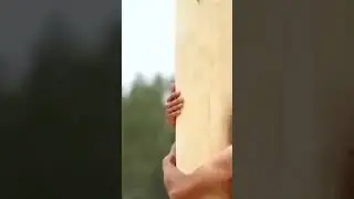 18 ноября 2023 г. .Балаға белдереү