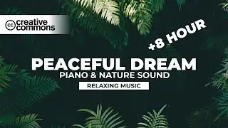 🌃 8 Horas de sonidos tranquilizantes 🎵 Música para descansar y pasar una noche tranquila durmiendo 🥱