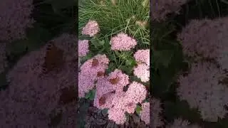 11 сентября 2023 г.