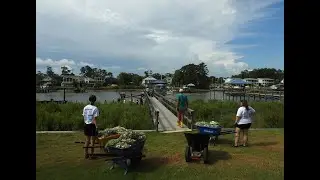 St. James Living Shoreline Workday