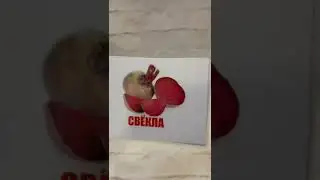 Карточки домана обучающие развивающие игры для детей