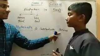class 7 science nutrition