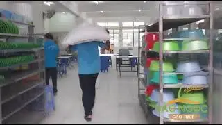 Gạo Xuất Ăn Công Nghiệp Tân Bình