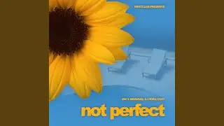 Not Perfect