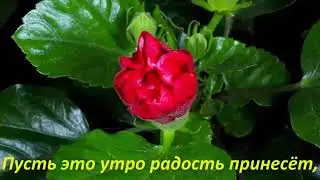 Добрый день,настроение
