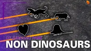 The Non Dinosaurs of Jurassic Park