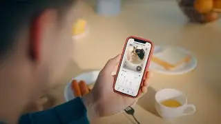 Top 5 AI Pet Gadgets of 2025 That Care for Your Animals Better Than You! 🐕🐾