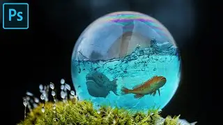 Photo Manipulation | Photoshop tutorial | Fishes in Glass Ball