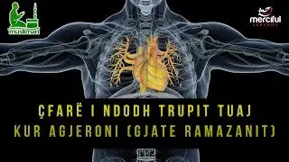 Çfarë i ndodhë trupit tuaj kur Agjeron (Gjatë Ramazanit)