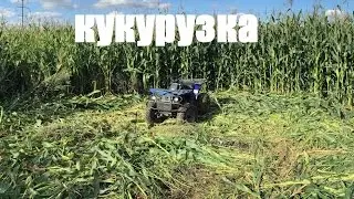 За кукурузкой