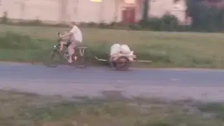 Дырчик с прицепом,покос травы