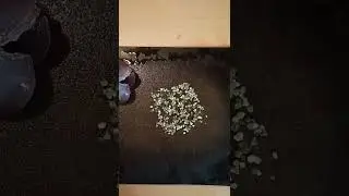 Охотнику на боровую дичь 