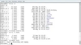 The mkdir and rmdir Commands