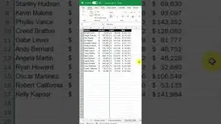 Hide & Seek in Excel excelpro