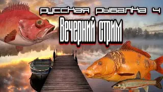 РР4 | Вечерний стрим | жду 80 звезду... | Розыгрыши с рулеткой (удочки и катушки)