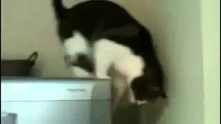 Миссия выполнена