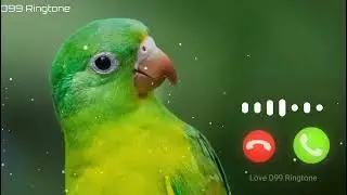 Vivo phone message tone. vivo ringtone || vivo message ringtone || vivo trending ringtone.