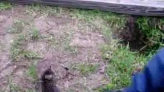 CAT Time Time CAT
