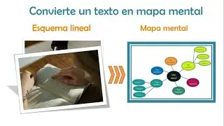 Mapas mentales - Como hacer un mapa mental fácil + Ejemplo
