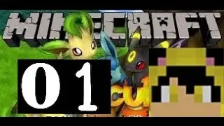 Pokecube EP 01 | FROGADIER E LA PRIMA CATTURA!