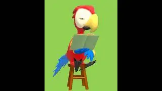 Green screen parrot video effects Green Screen│Motion Graphic Transitions│Green Screen│OBS