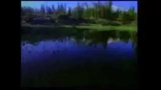 Удивительные животные