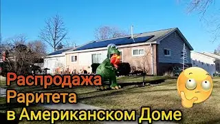 Раритетные Экземпляры на Распродаже в Американском Доме!