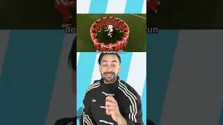 How Turkey Can Still Win the World Cup!!