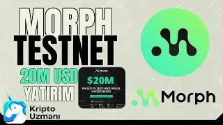 Morph TestNet Katılım ! Detaylı Anlatım ! 20M USD Yatırım !