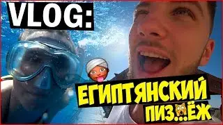 VLOG ● ЕГИПТЯНСКИЙ ПИЗ...ЁЖ | Staff Medvedenko