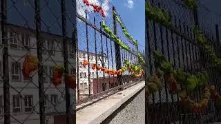 Bingöl'de kurutulan biberler #shortvideo #bingöl #biber