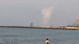 Какой-то белый дым и нашествие водорослей